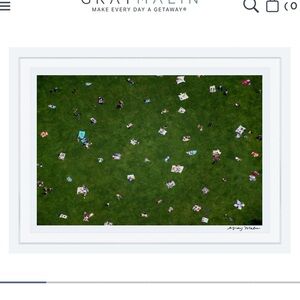 Framed gray malin Central Park print